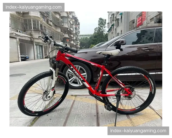 市场观察:二手高端山地车市场交易活跃,部分经典车型保值率超预期 市场观察:二手高端山地车市场交易活跃,部分经典车型保值率超预期